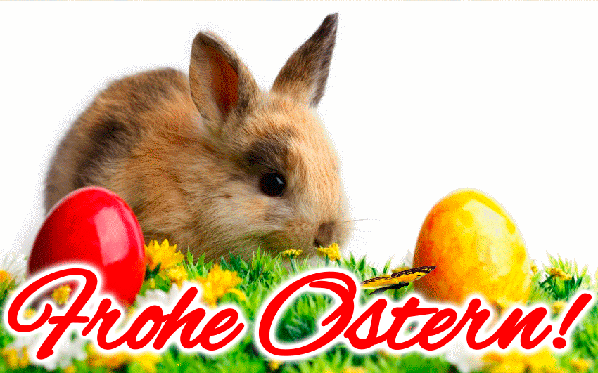 Frohe Ostern! Кролик з писанками на галявині серед квітів, літають метелики.