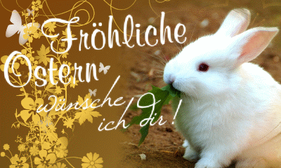 Frohe Ostern! Білий кролик їсть зелену травичку і вітає всіх з Воскресінням Христовим німецькою мовою