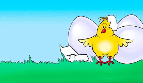 Frohe Ostern! Курчатко вилупилося з яйця і вітає вас з Великоднем німецькою мовою