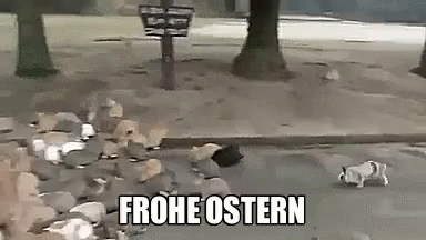 Frohe Ostern! Багато кроликів у парку обступили жінку