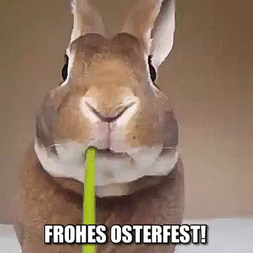 Frohe Osterfest! Справжній кролик їсть зелень