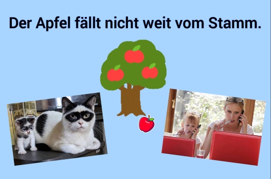 Der Apfel fällt nicht weit vom Stamm.