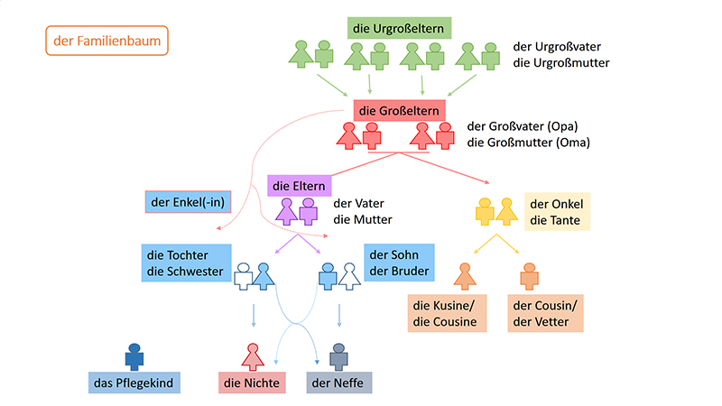 der Familiebaum