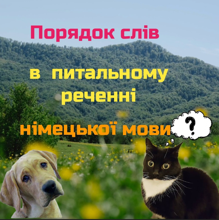 Порядок слів у питальному реченні німецької мови